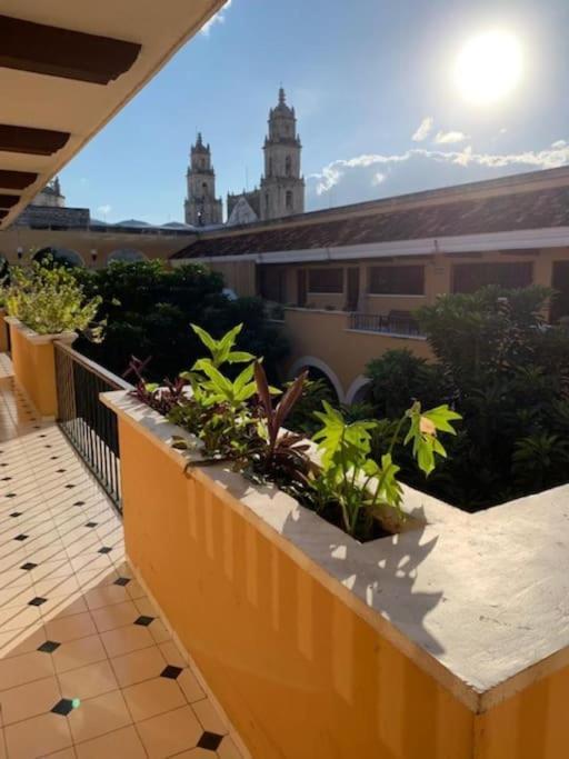 Oceanfront Casita Coral Apartment Chelem Bagian luar foto
